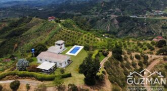 Finca Palestina venta $ 1.700.000.000