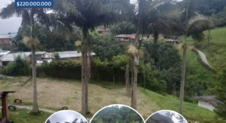 Finca venta bajo Corinto $ 725.000.000